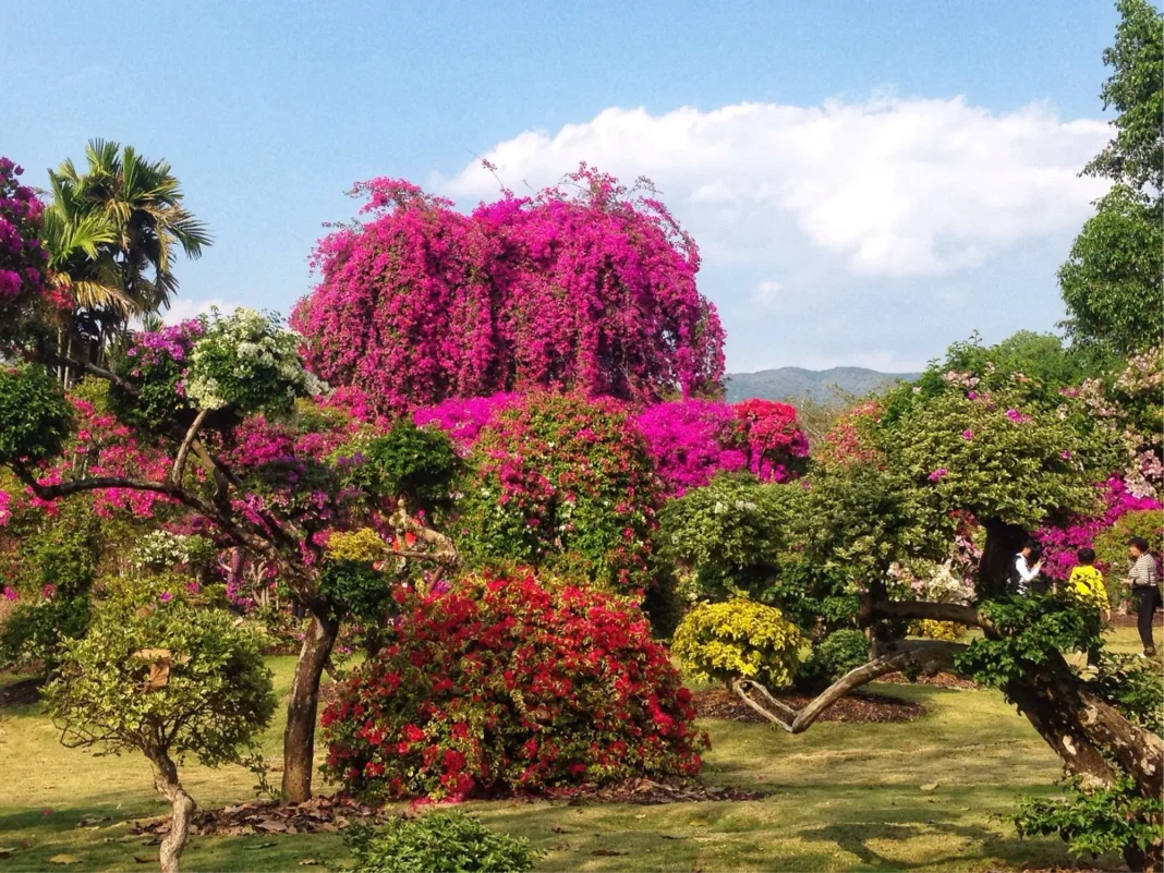 Xishuangbanna Tropical Botanical Garden