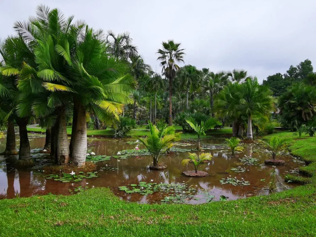 Xishuangbanna Tropical Botanical Garden