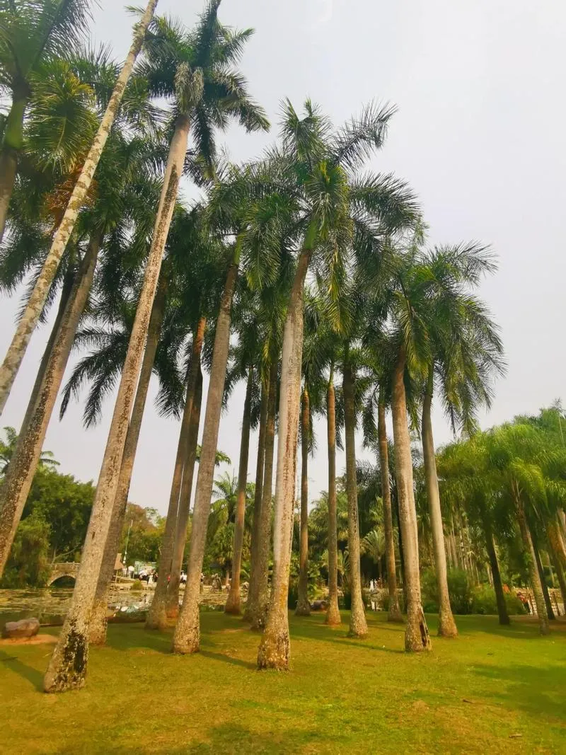 Xishuangbanna Tropical Botanical Garden