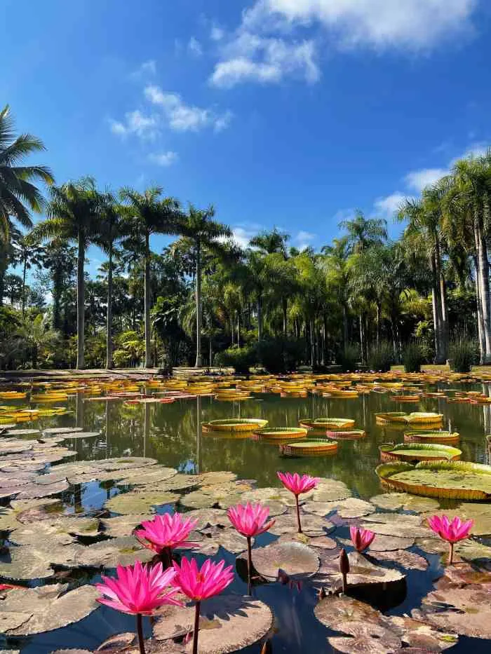 Xishuangbanna Tropical Botanical Garden