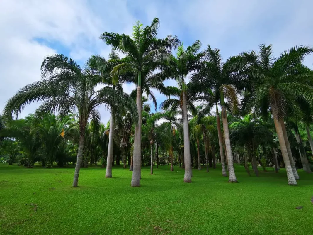 Xishuangbanna Tropical Botanical Garden