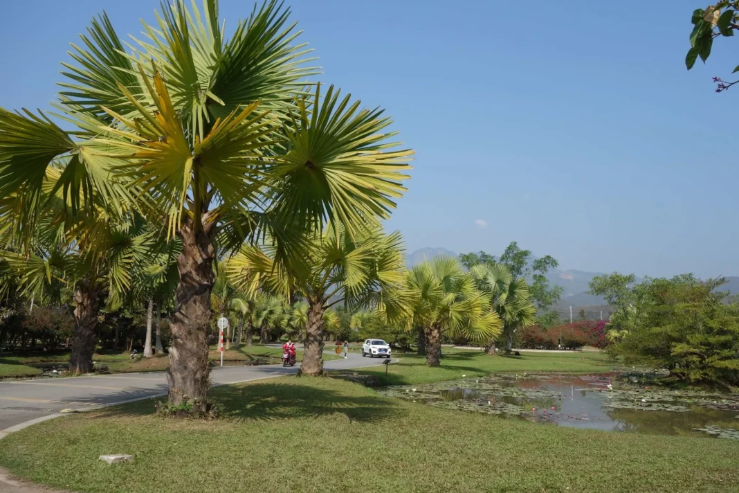 Xishuangbanna Tropical Botanical Garden