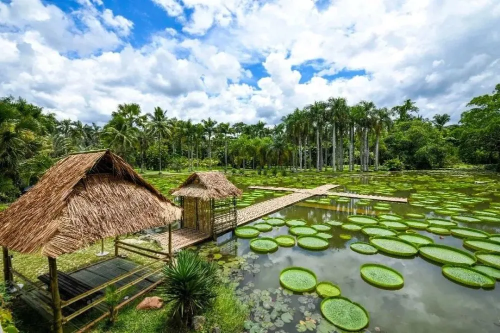 Xishuangbanna Tropical Botanical Garden