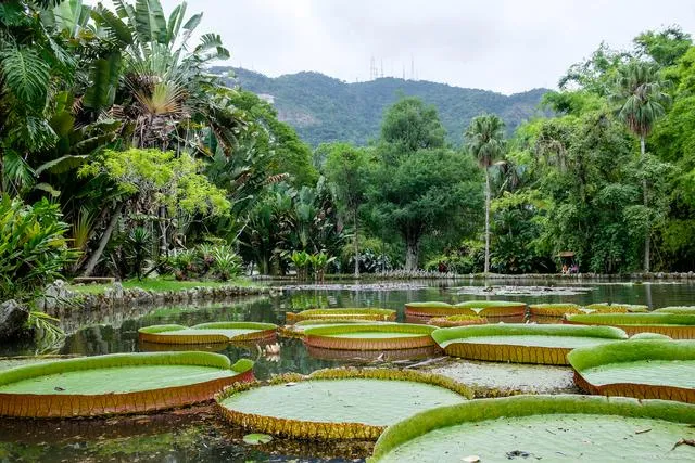 Xishuangbanna Tropical Botanical Garden