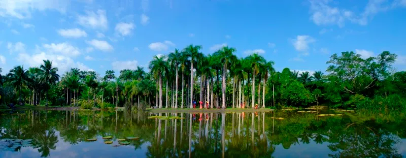 Xishuangbanna Tropical Botanical Garden