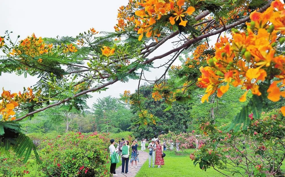 Xishuangbanna Tropical Botanical Garden