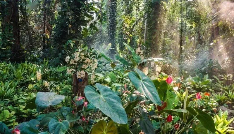 Xishuangbanna Tropical Botanical Garden