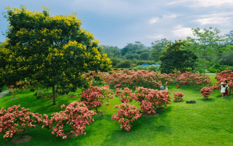 Xishuangbanna Tropical Botanical Garden