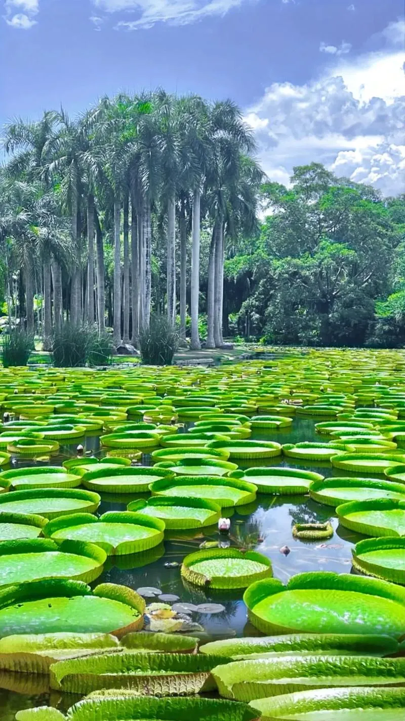 Xishuangbanna Tropical Botanical Garden