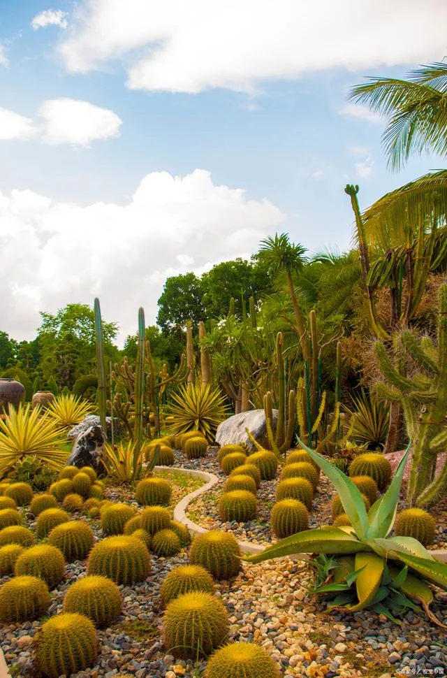 Xishuangbanna Tropical Botanical Garden