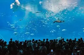 Batumi Aquarium