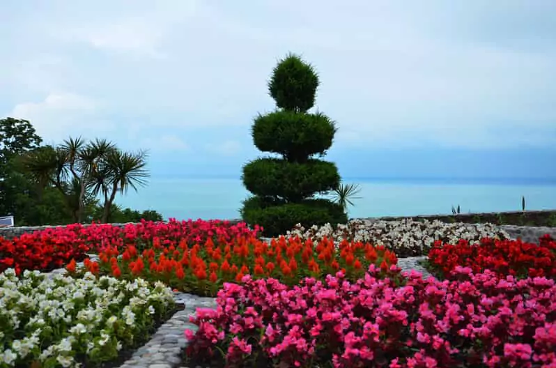 Batumi Botanical Garden