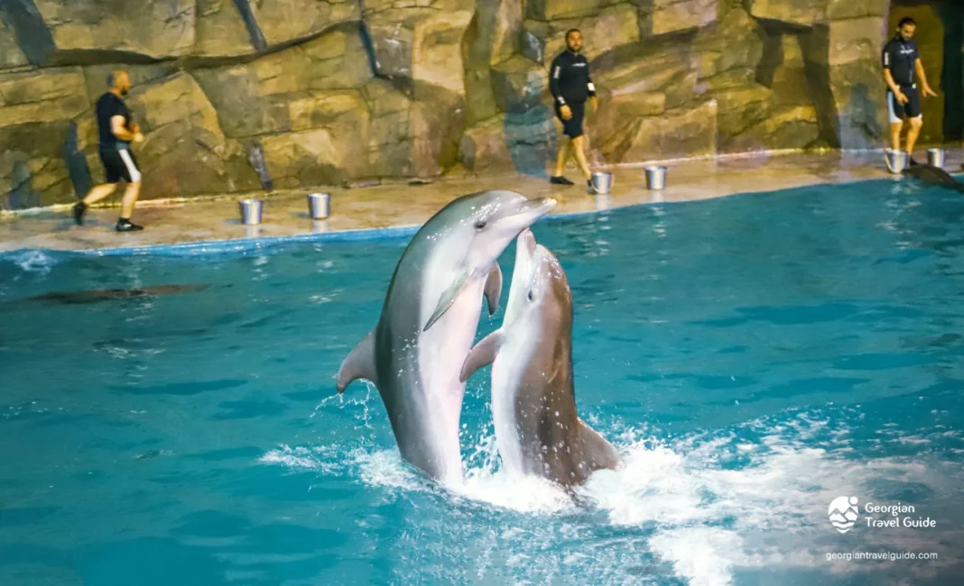 Batumi Dolphinarium