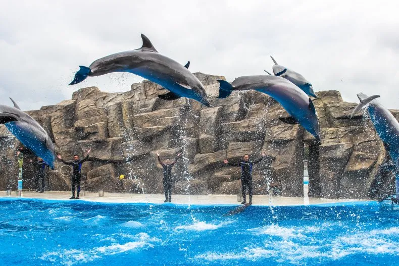 Batumi Dolphinarium