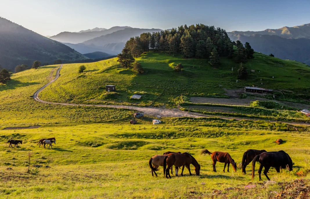 Tusheti National Park