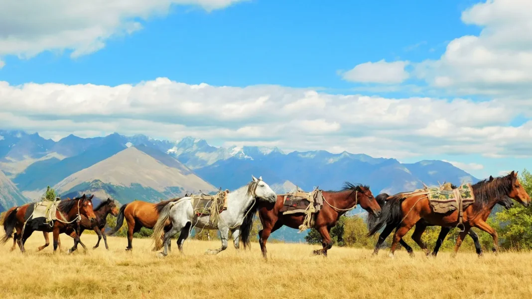 Tusheti National Park