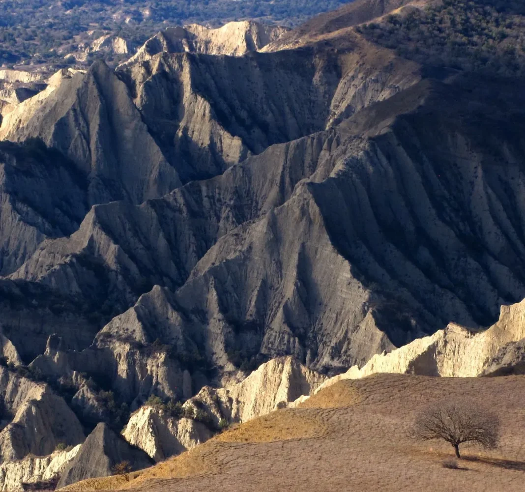 Vashlovani National Park