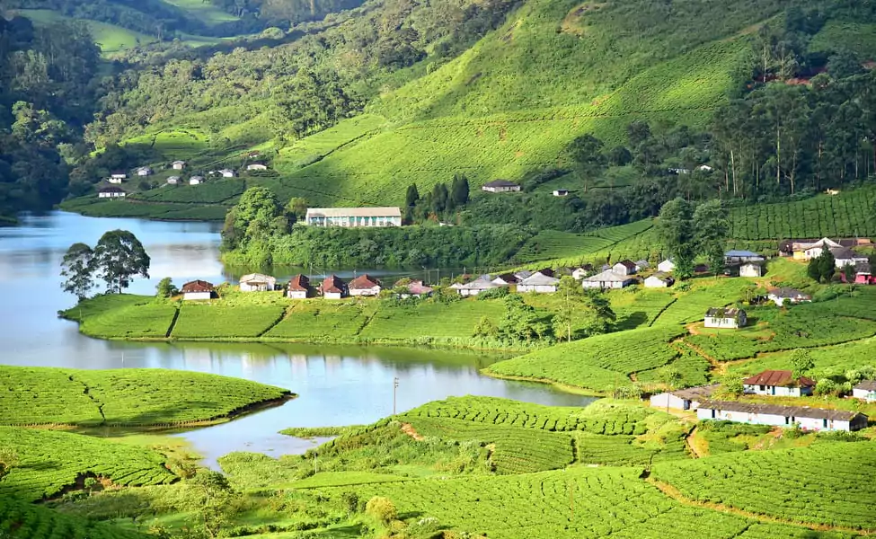 Munnar Kerala