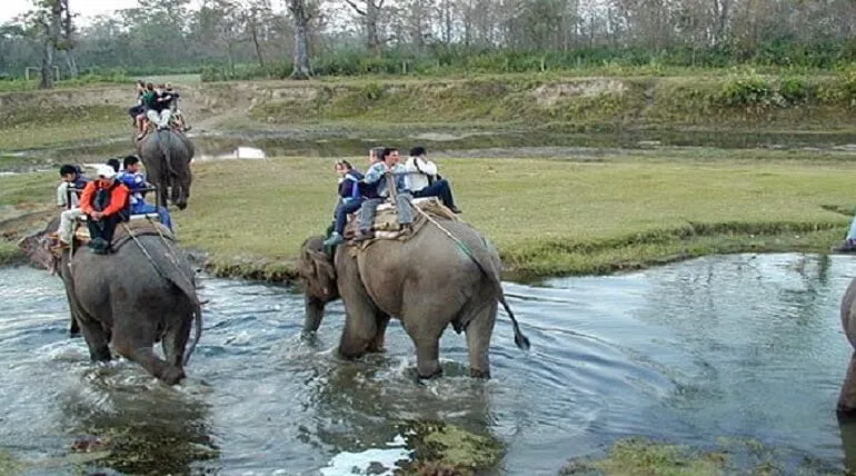 Jim Corbett National Park