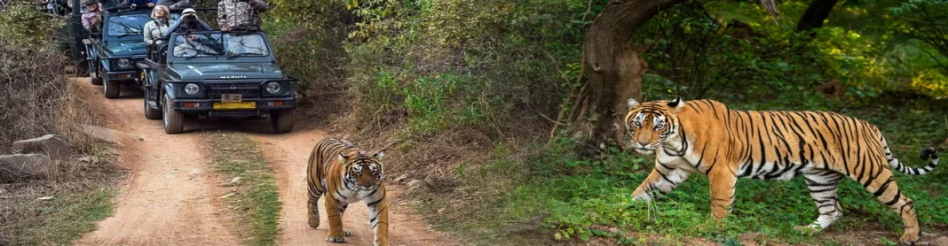 Jim Corbett National Park