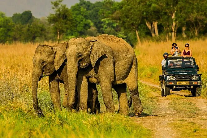 Jim Corbett National Park