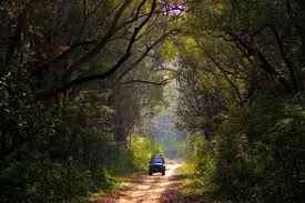 Jim Corbett National Park