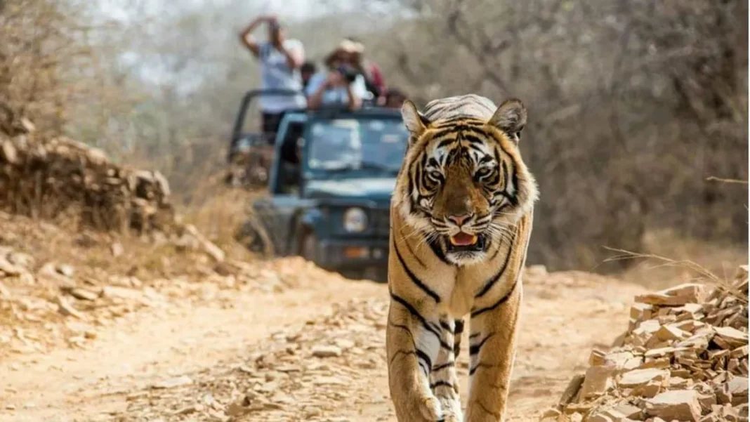 Jim Corbett National Park