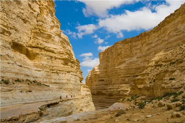 Negev Desert adventures