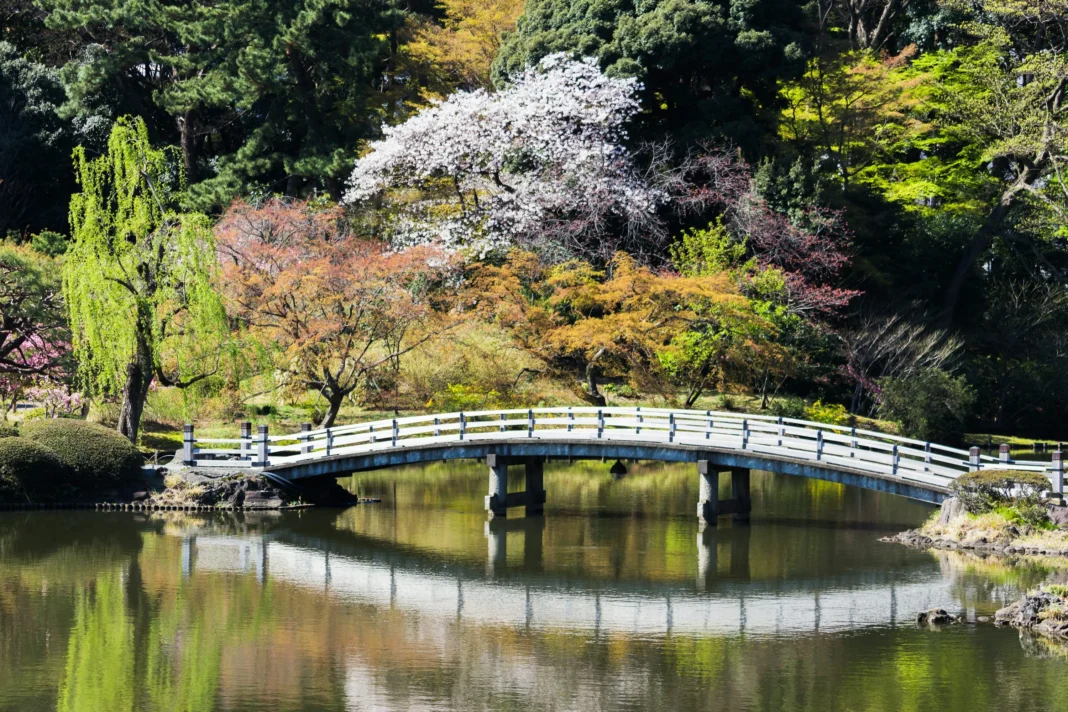 Shinjuku Gyoen National Garden