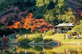 Shinjuku Gyoen National Garden