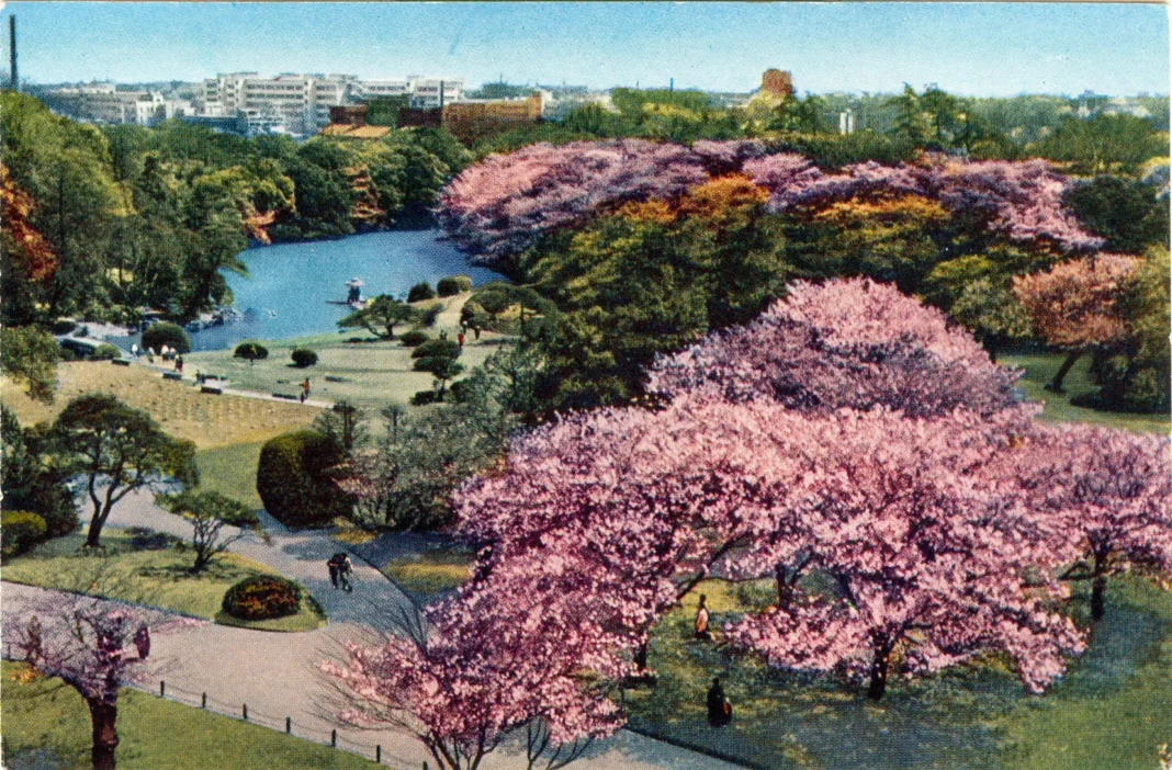 Shinjuku Gyoen National Garden