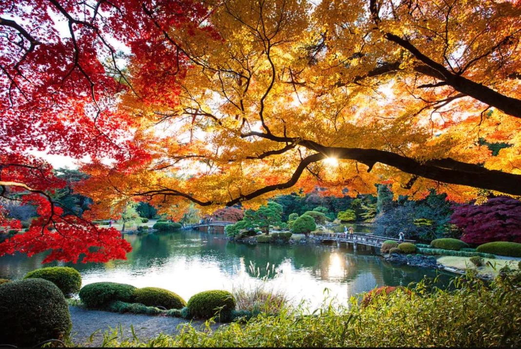 Shinjuku Gyoen National Garden