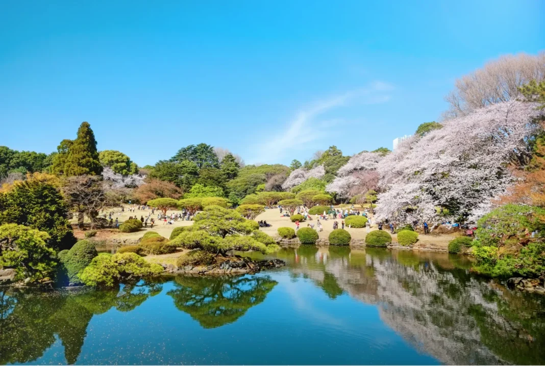 Shinjuku Gyoen National Garden