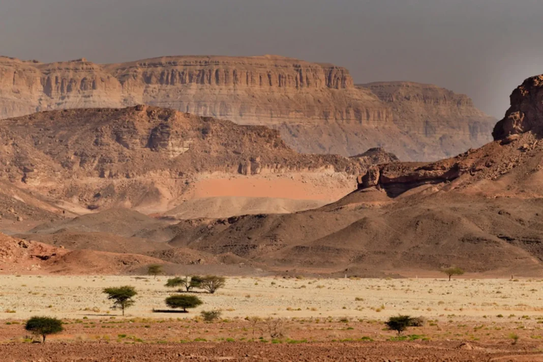 Negev Desert adventures