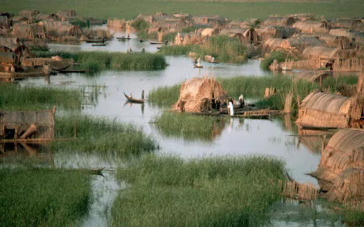 Eco-tours in the Iraqi Marshlands