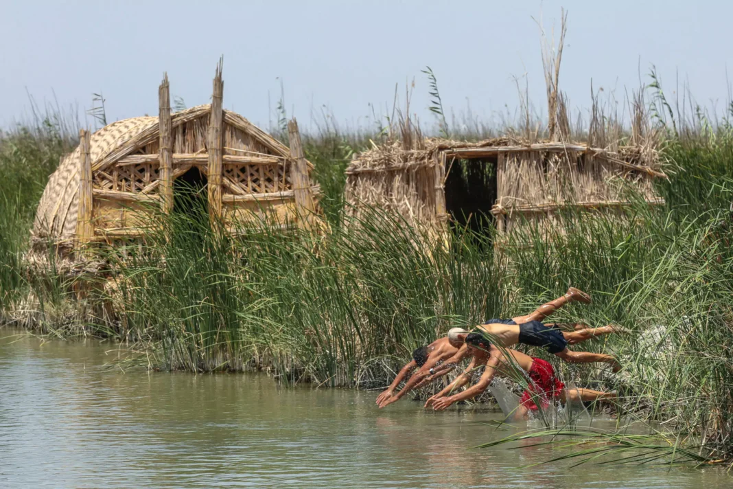 Eco-tours in the Iraqi Marshlands