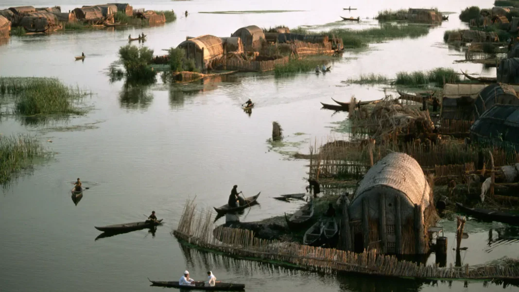 Eco-tours in the Iraqi Marshlands