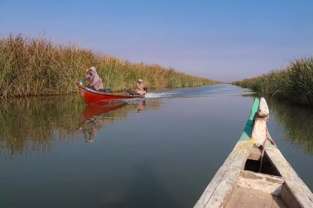 Eco-tours in the Iraqi Marshlands