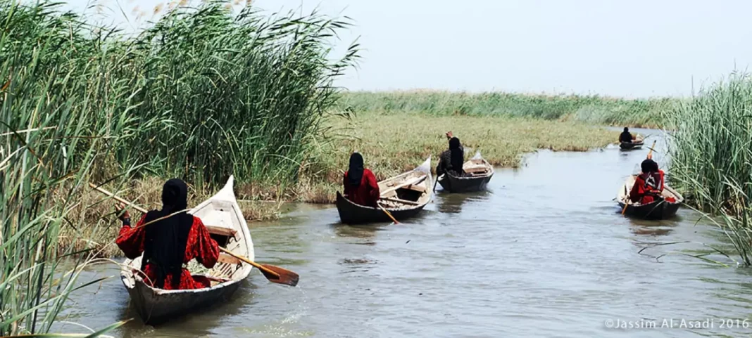 Eco-tours in the Iraqi Marshlands