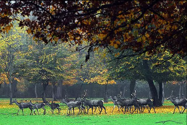 Golestan National Park