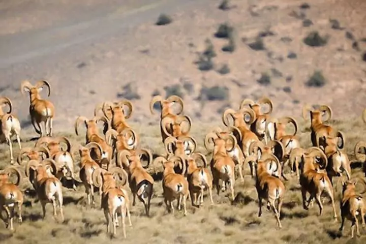 Golestan National Park