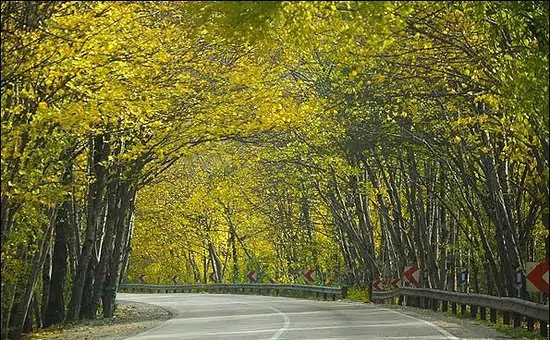 Golestan National Park