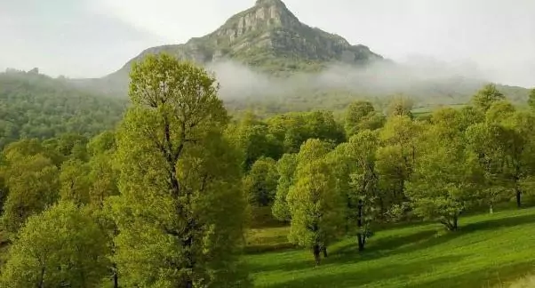 Golestan National Park