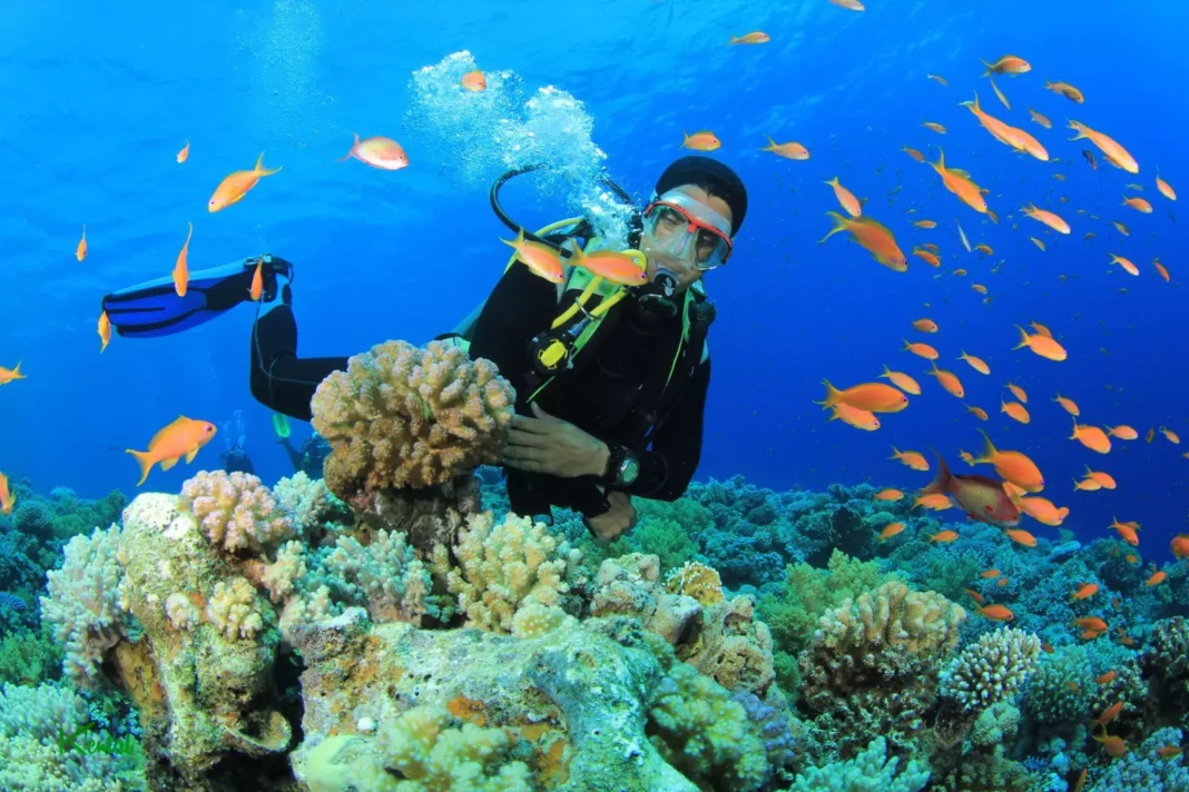 Iran scuba diving