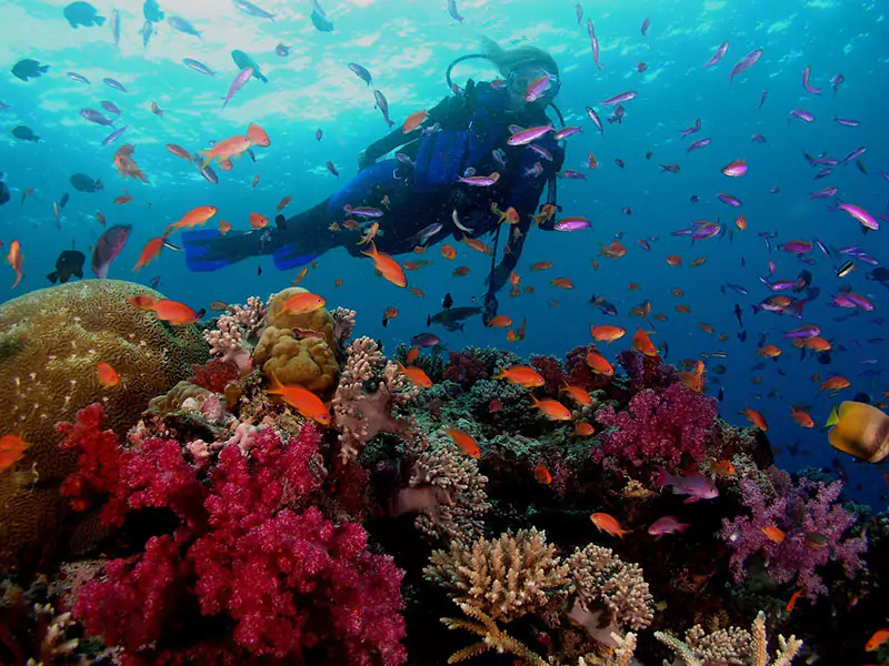 Iran scuba diving