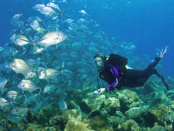 Iran scuba diving