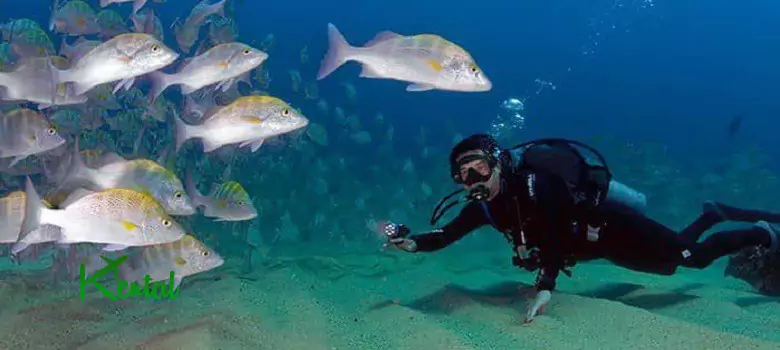 Iran scuba diving