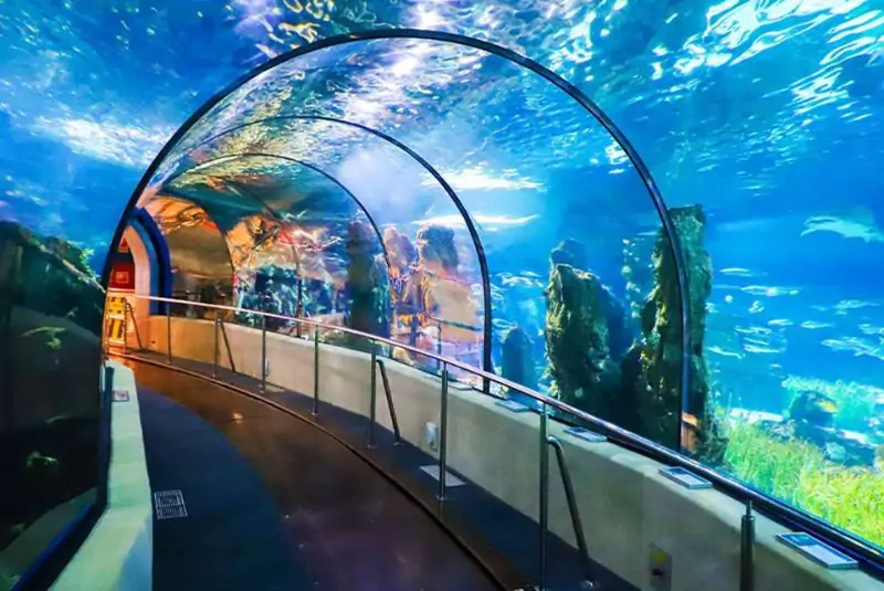 Kish Aquarium