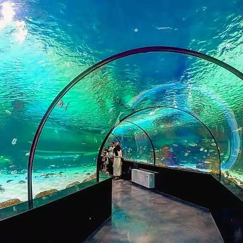 Kish Aquarium