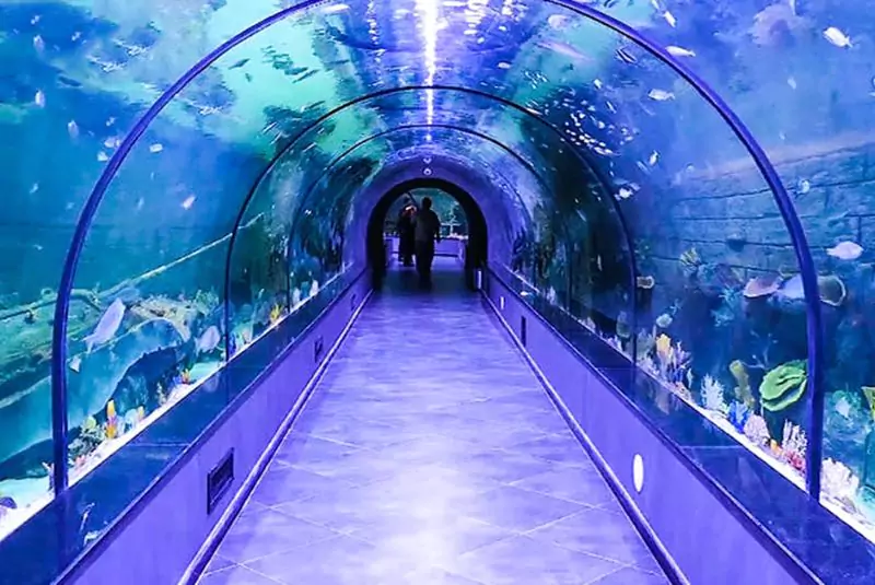 Kish Aquarium